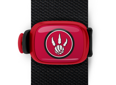 Toronto Raptors Stwrap - Stwrap