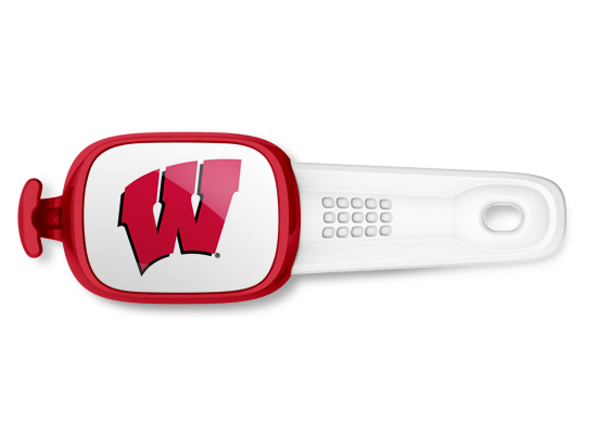 Wisconsin Badgers Stwrap - Stwrap