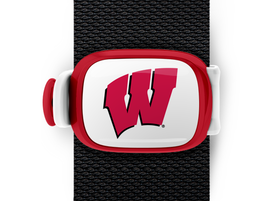 Wisconsin Badgers Stwrap - Stwrap
