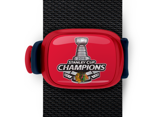 2015 Stanley Cup Champions Chicago Blackhawks Bag Tag mounted on a bag strap