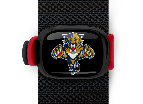 Florida Panthers Bag Tag mounted on a bag strap