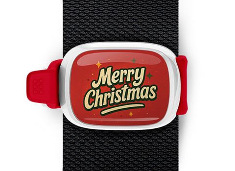 Merry Christmas Stwrap Bag Tag