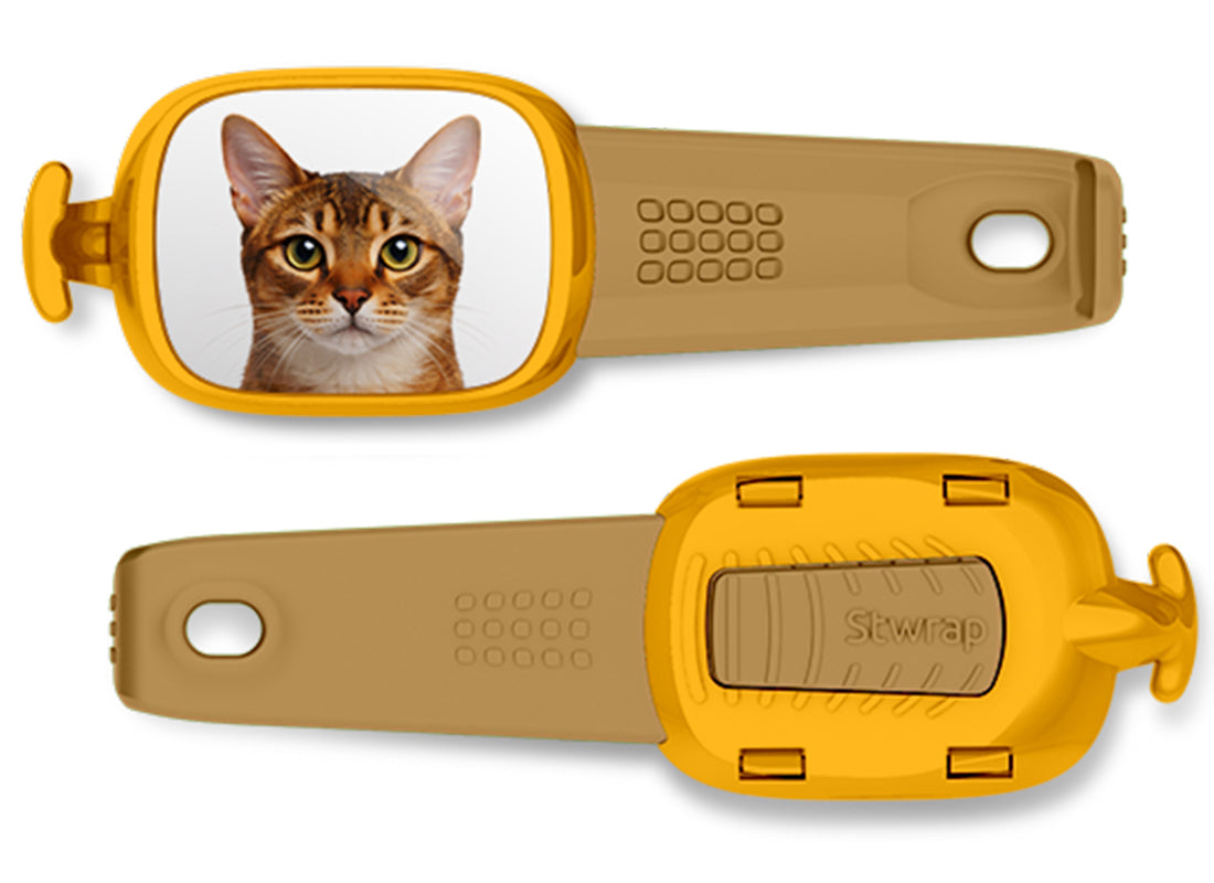 Abyssinian Cat Stwrap