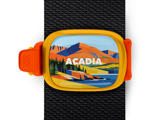 Acadia National Park Stwrap bag tag mounted on a black bag strap