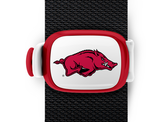 Arkansas Razorbacks Bag Tag mounted on a bag strap