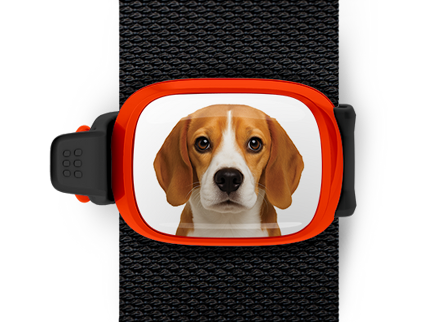 Beagle Bag Tag mounted flat on a bag strap