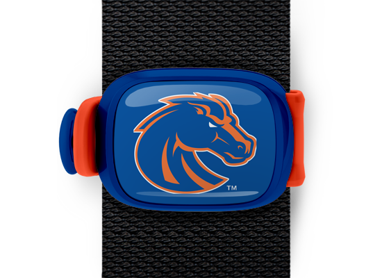 Boise State Broncos Bag Tag mounted on a bag strap