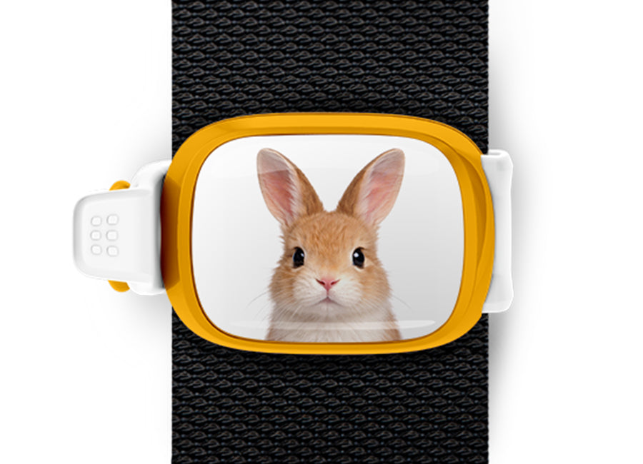 Bunny Stwrap bag tag mounted flat on a black backpack strap.