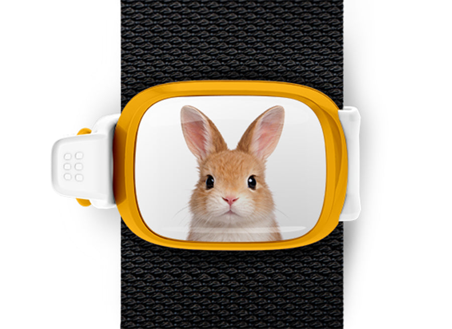 Bunny Stwrap bag tag mounted flat on a black backpack strap.