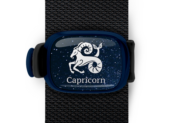 capricorn zodiac bag tag stwrap mounted on backpack strap