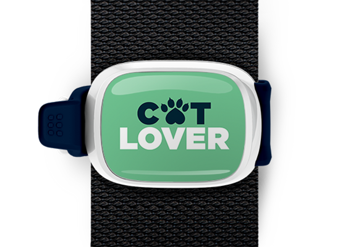 Cat Lover Stwrap Bag Tag