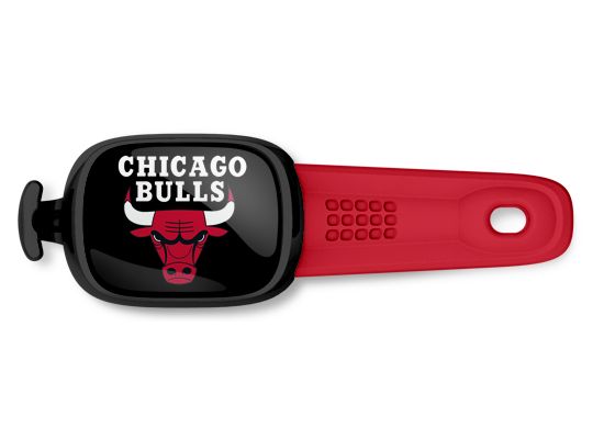 Chicago Bulls Stwrap - Stwrap