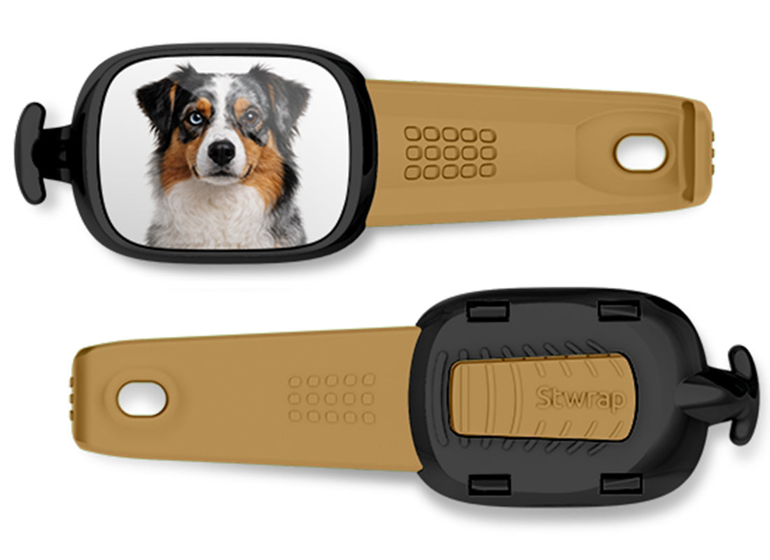 Front and back views of Australian Shepherd photo Stwrap bag tag