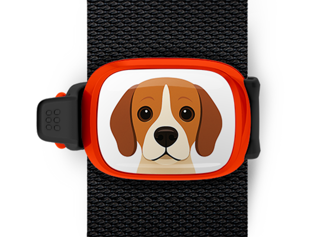 Beagle illustration bag tag Stwrap mounted on backpack strap