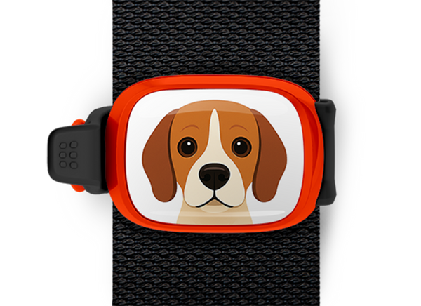Beagle Stwrap Bag Tag