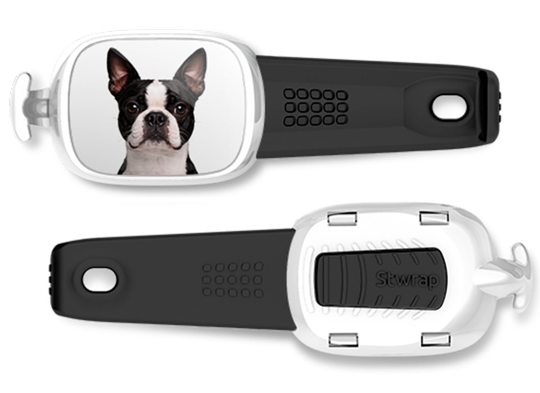 Front and back views of Boston Terrier photo Stwrap bag tag