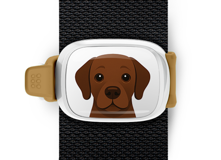 Chocolate Lab cartoon design Stwrap Bag Tag mounted on a bag strap