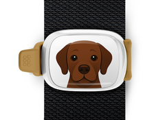 Chocolate Lab Stwrap Bag Tag
