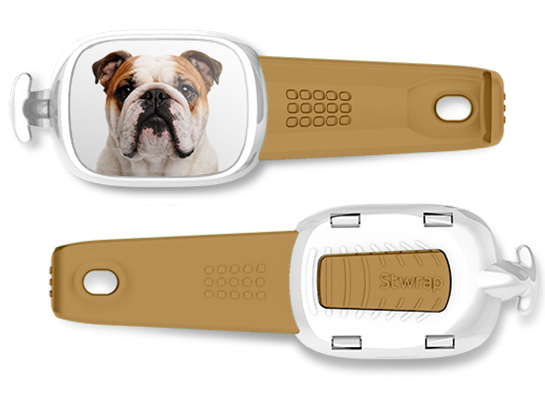 Front and back views of Bulldog photo Stwrap bag tag