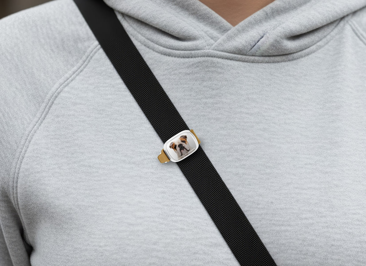 Bulldog photo Stwrap bag tag worn on a black crossbody strap