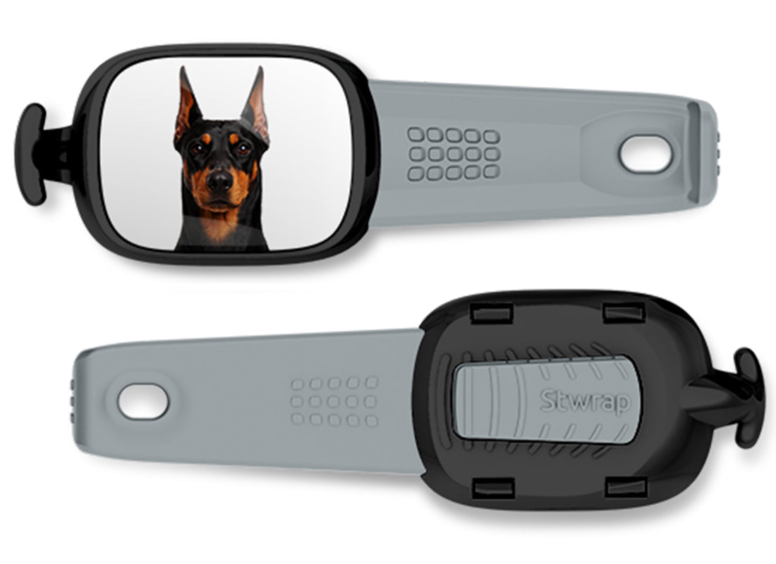 Front and back views of Doberman photo Stwrap bag tag