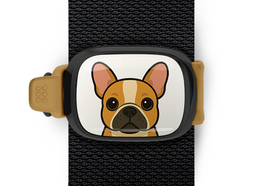 French Bulldog cartoon design Stwrap Bag Tag mounted on a bag strap