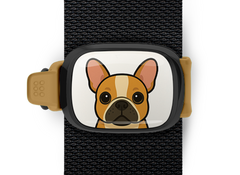 French Bulldog Stwrap Bag Tag