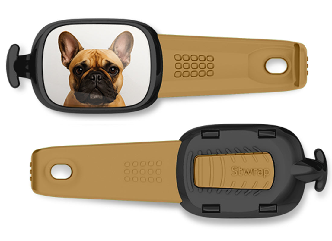 Front and back views of French Bulldog photo Stwrap bag tag