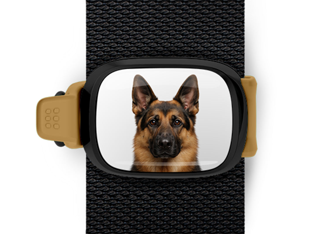 German Shepherd photo Stwrap bag tag mounted flat on a black bag strap