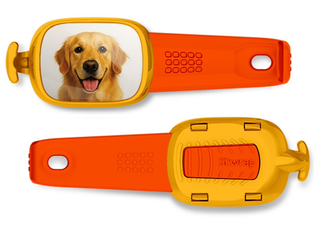 Front and back views of Golden Retriever photo Stwrap bag tag