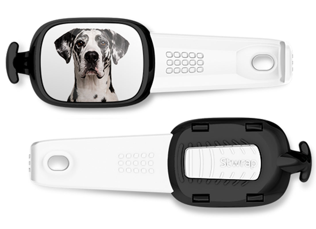 Front and back views of Great Dane photo Stwrap bag tag