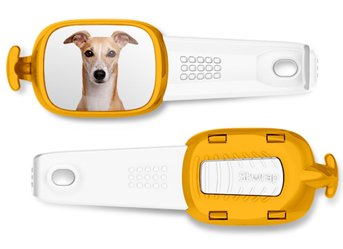 Front and back views of Greyhound photo Stwrap bag tag