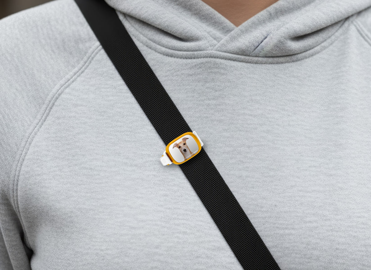 Greyhound photo Stwrap bag tag worn on a black crossbody strap