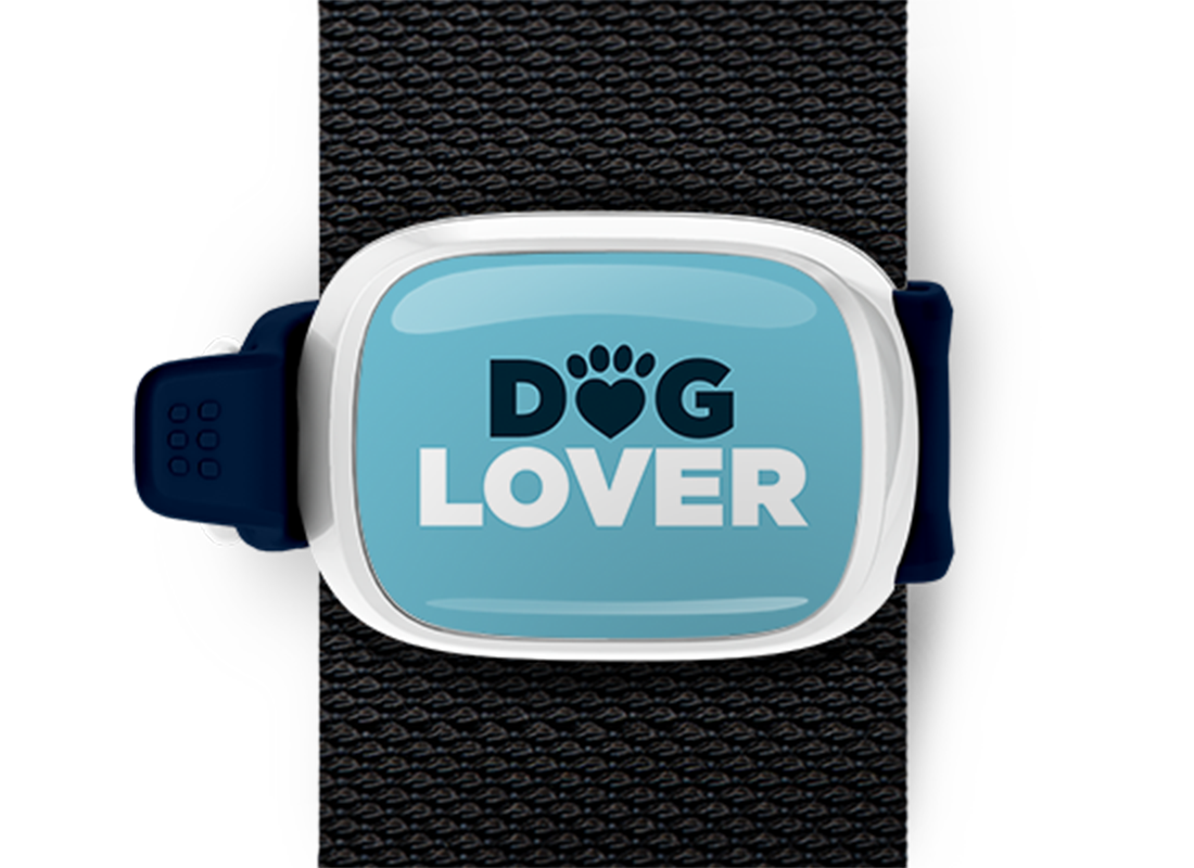 Dog Lover bag tag Stwrap mounted on backpack strap