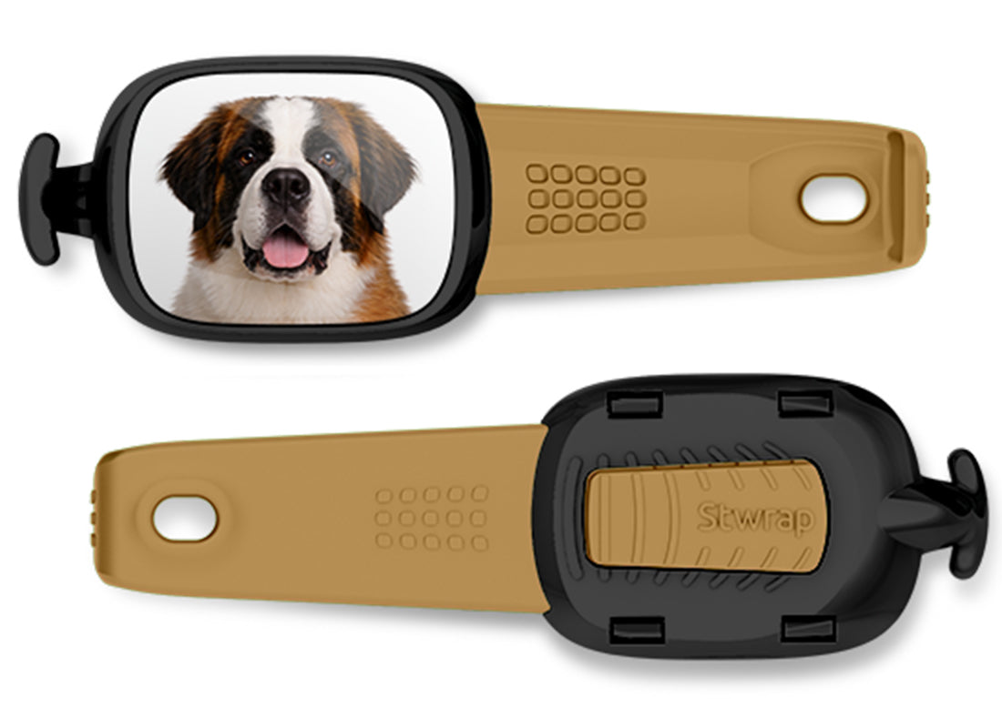 Front and back views of Saint Bernard photo Stwrap bag tag