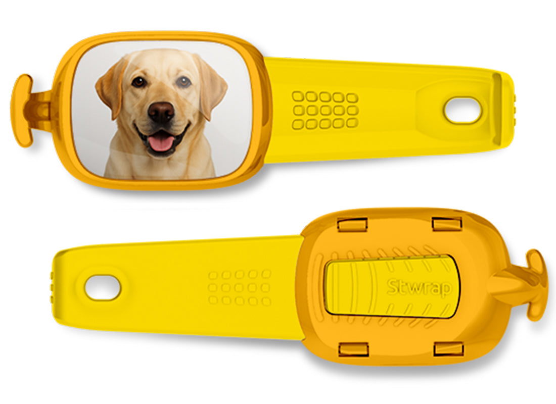 Front and back views of Yellow Labrador photo Stwrap bag tag