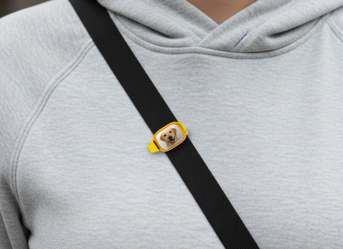 Yellow Labrador photo Stwrap bag tag worn on a black crossbody strap