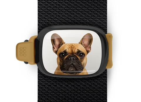 French Bulldog Stwrap Bag Tag