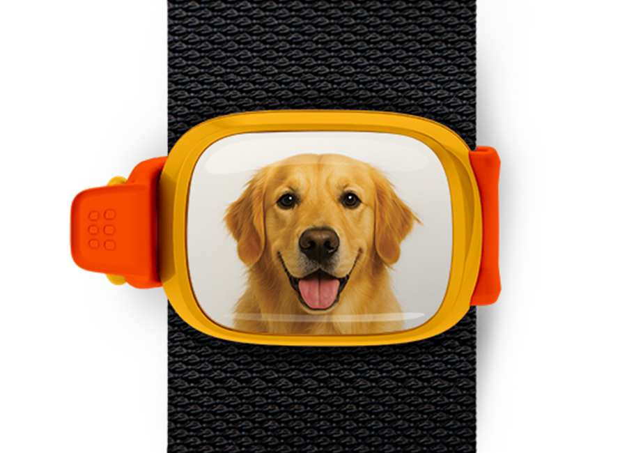 Golden Retriever Bag Tag mounted flat on a bag strap