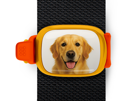 Golden Retriever Stwrap Bag Tag