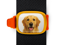 Golden Retriever Stwrap Bag Tag