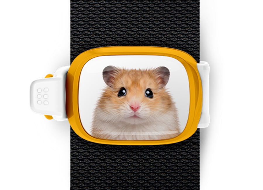 Hamster Stwrap bag tag mounted flat on a black backpack strap.