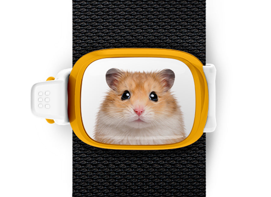 Hamster Stwrap bag tag mounted flat on a black backpack strap.