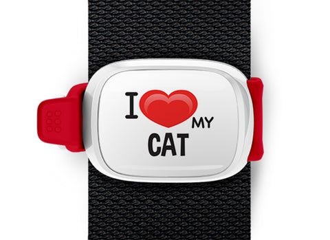 I Love My