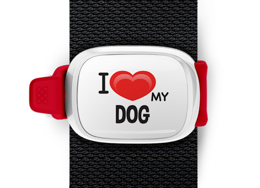 I Love My Dog Bag Tag by Stwrap shown as a flat strap-mounted bag tag
