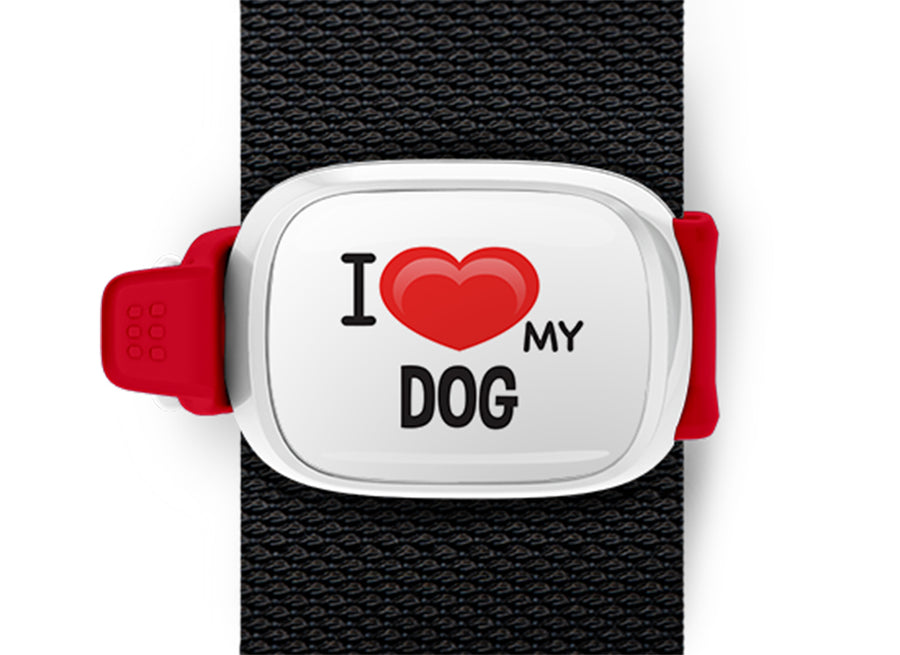 I Love My Dog Bag Tag by Stwrap shown as a flat strap-mounted bag tag