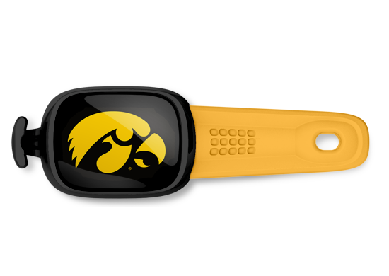 Iowa Hawkeyes Stwrap - Stwrap