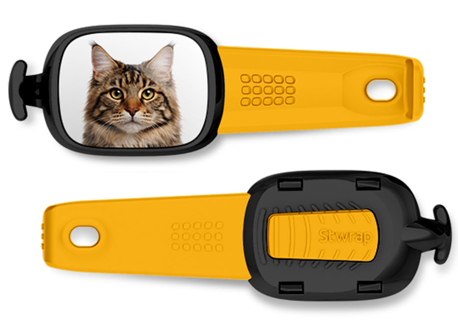 Maine Coon Cat Stwrap bag tag mounted flat on a black backpack strap.