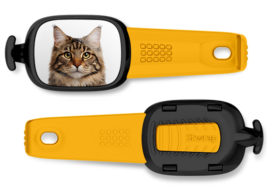 Maine Coon Cat Stwrap bag tag mounted flat on a black backpack strap.