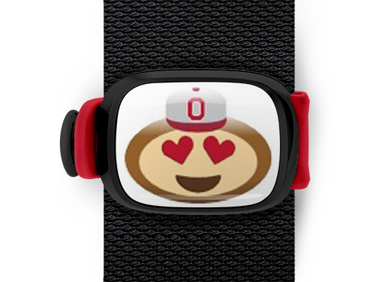 Ohio State Brutus Buckeye Emoji ncaa bag tag Stwrap sun glasses brutus mounted on backpack strap